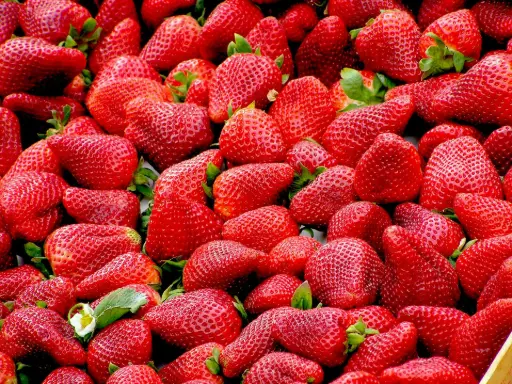 Morango